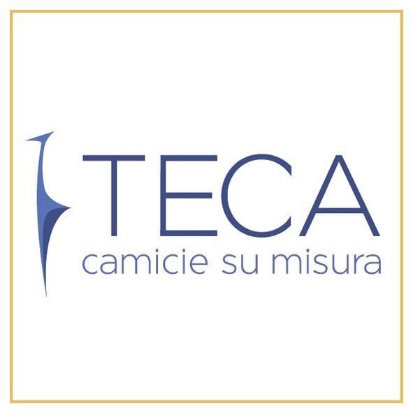 logo TECA